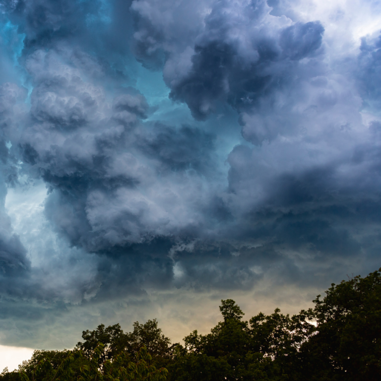 CAUTION: Spring has Sprung!   